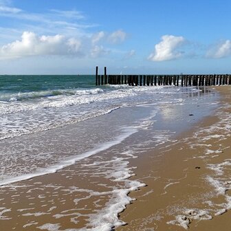 Zomer aan zee, Fotokaart nr. ZS-52