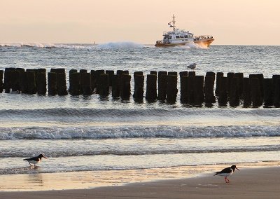 Avonddienst loods. Fotokaart nr. PK-251