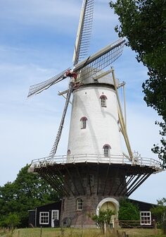 Molen van Veere (Ansichtkaart)