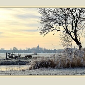 Winterse Alblasserwaard