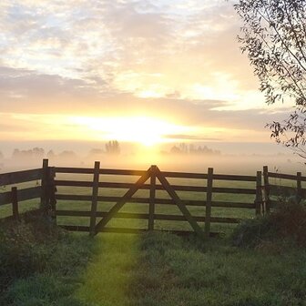 Ochtendzon in mist