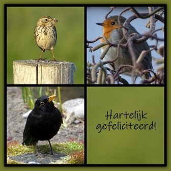 Felicitatie, vogels